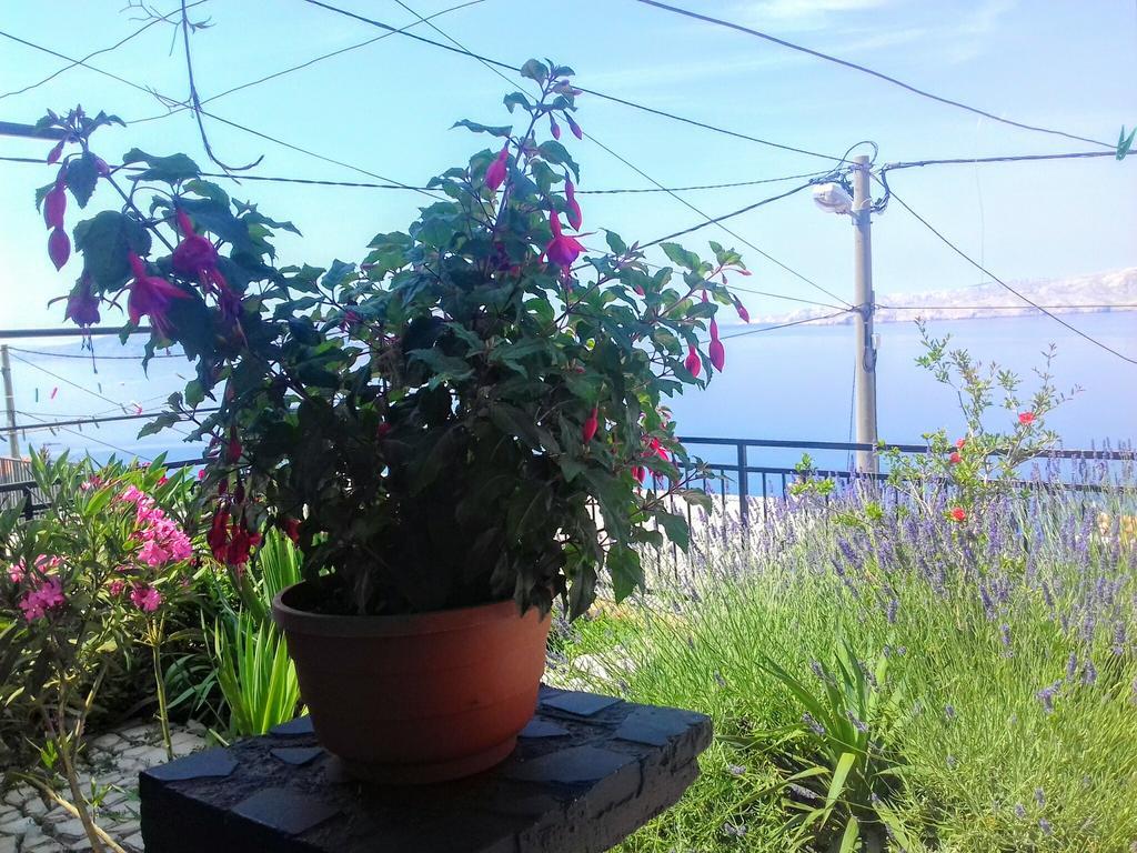 Apartment Little Princess Dora Senj  Bagian luar foto