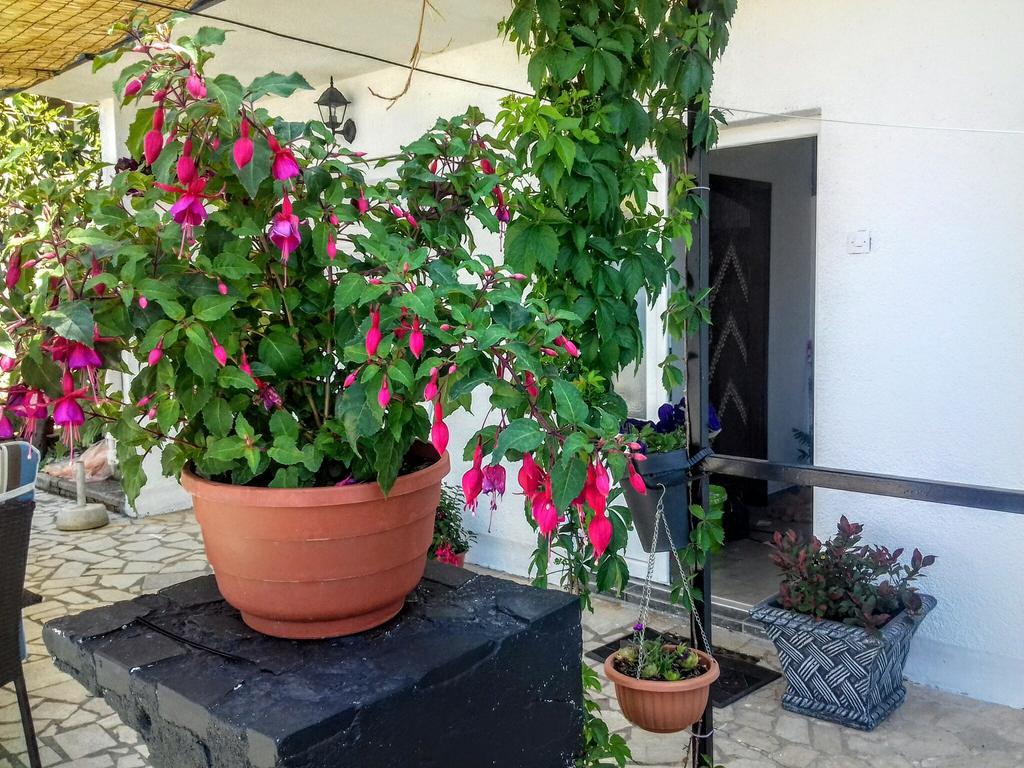 Apartment Little Princess Dora Senj  Bagian luar foto