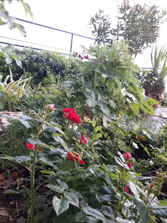 Apartment Little Princess Dora Senj  Bagian luar foto